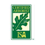 2-Nov-03-2025-09-22-53-7316-PM