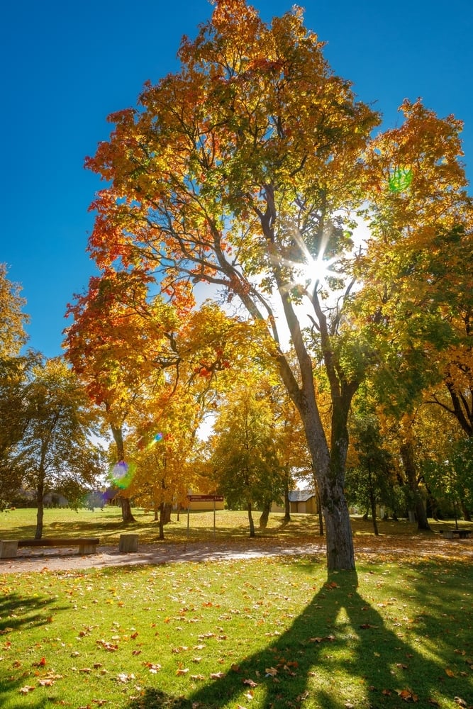 Macken Park in North Kansas City, MO