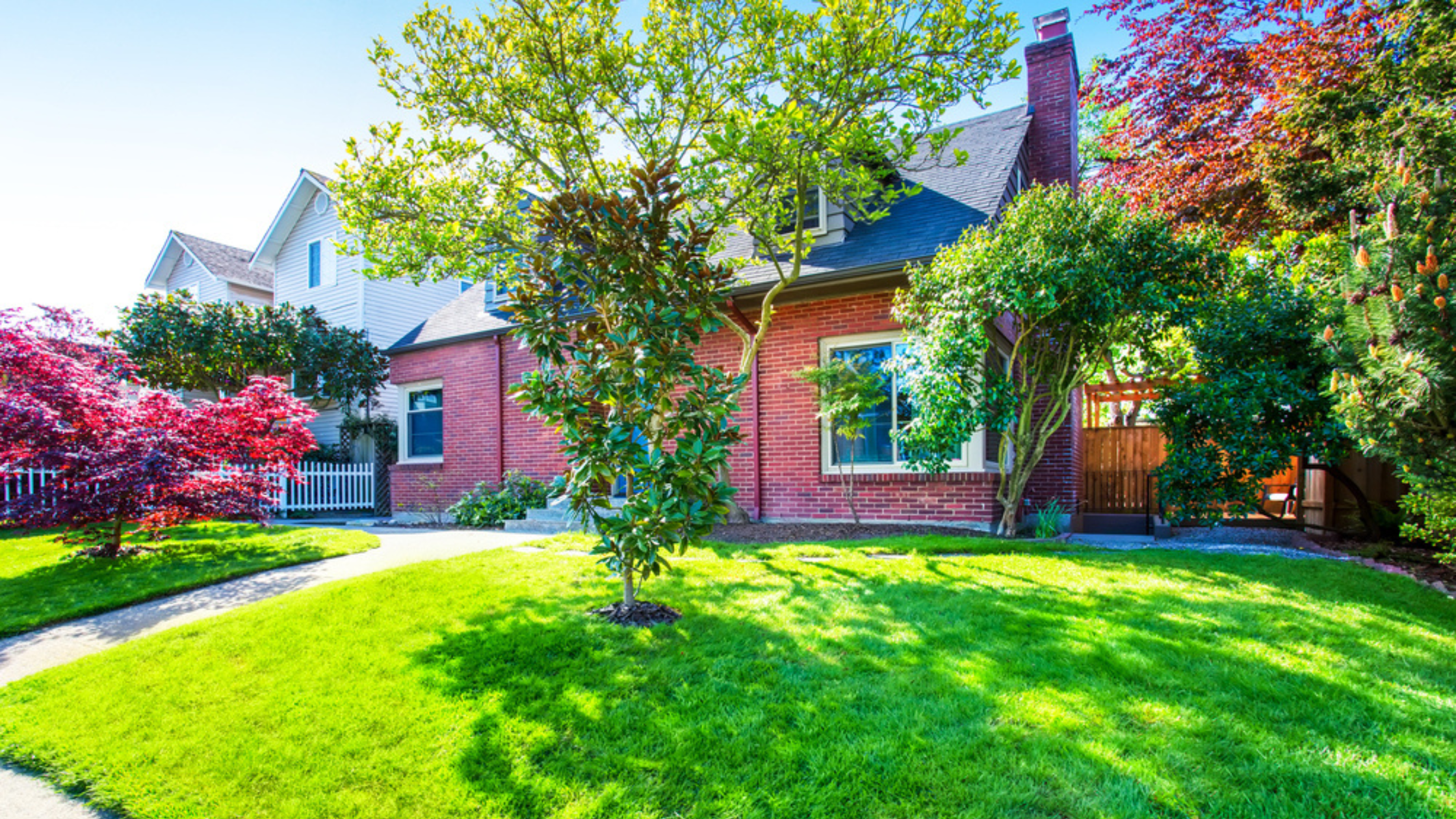 custom tree care program in kansas city