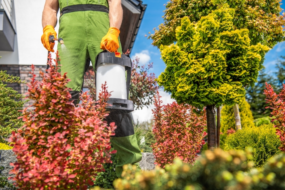 Plant health care consultant inspecting trees and plants