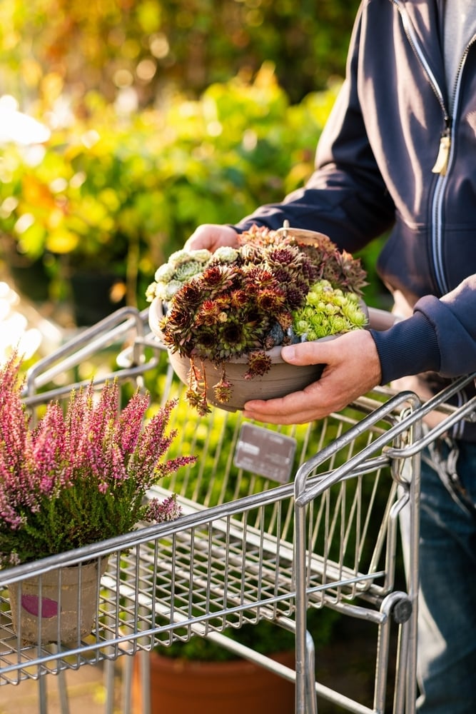 The Shops at Prairie Village