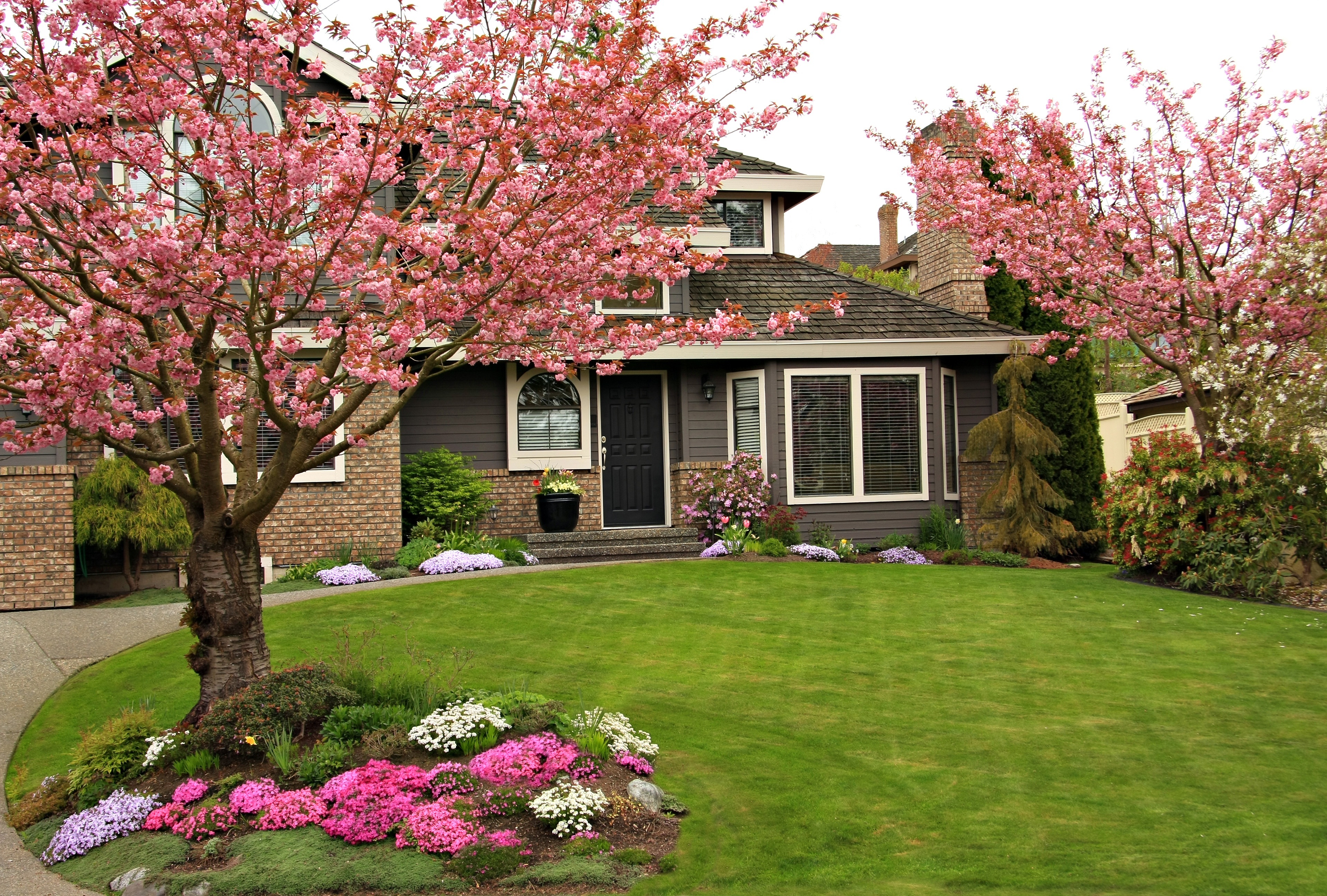home with vibrant bright pink trees in spring