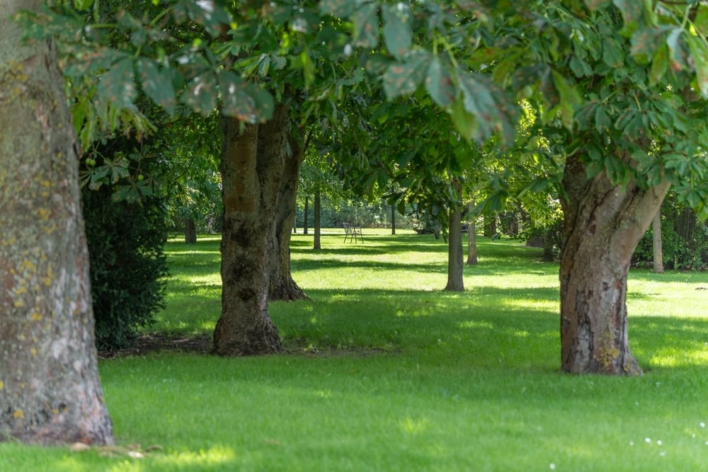 Park in Gladstone, MO